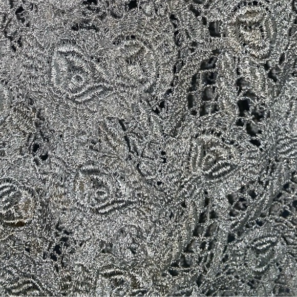 M & Guia Brazil Silver Gray Metallic Embroidered Lace with Cutout Back Dress - Picture 12 of 12